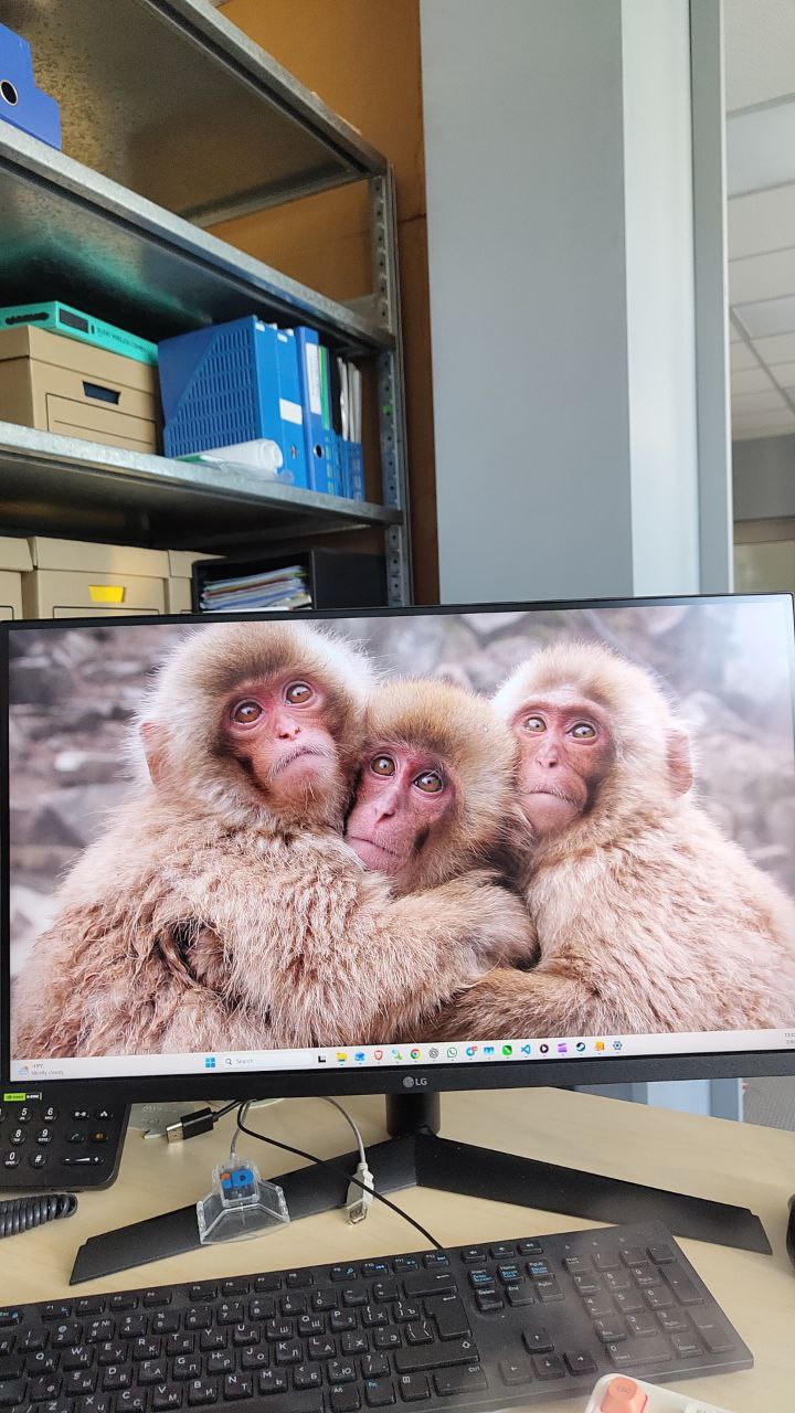 Фото из блога